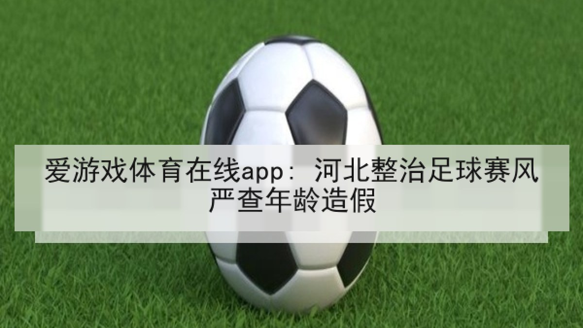 爱游戏体育在线app: 河北整治足球赛风严查年龄造假